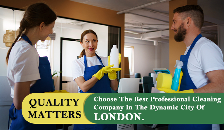 professional cleaning company