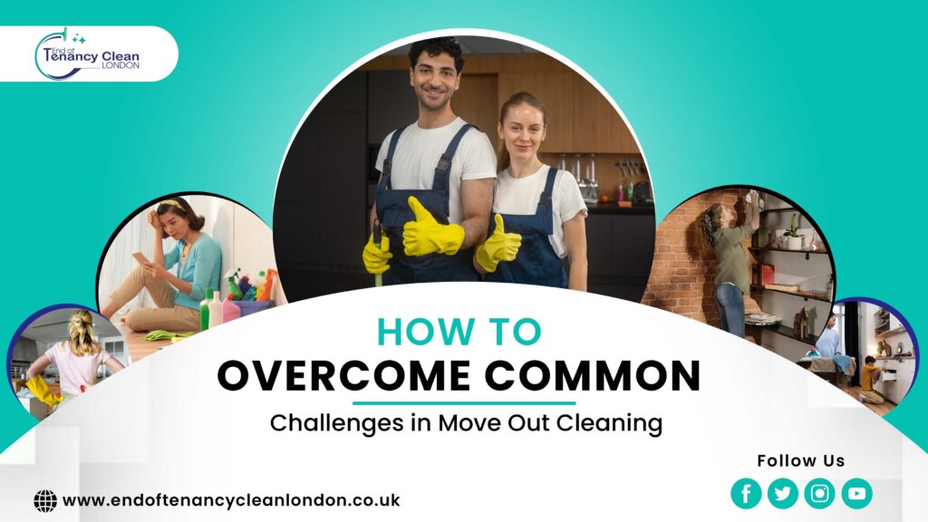 Move Out Cleaning